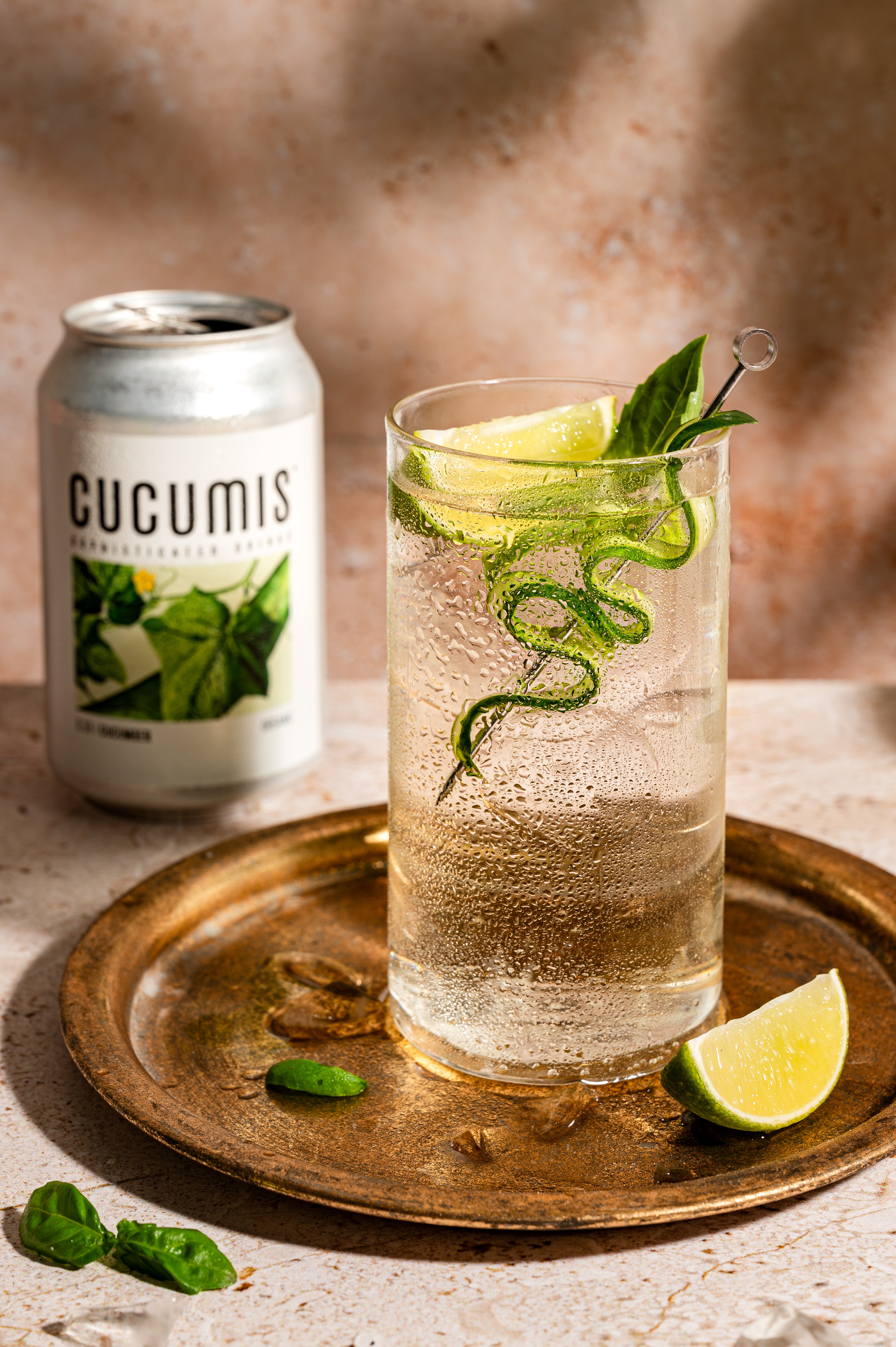 Cucumis Cucumber Can
